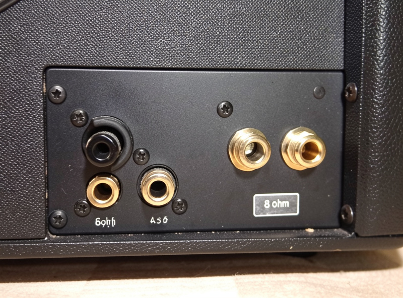 Rear panel of an amplifier showing speaker binding posts and impedance rating