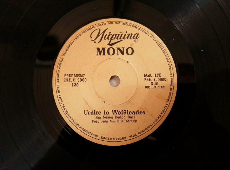 Top-down view of a vintage vinyl record center label marked mono